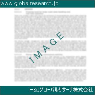 グローバルリサーチ調査資料のイメージ